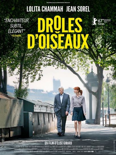 droles_oiseaux