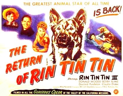 retour_rintintin