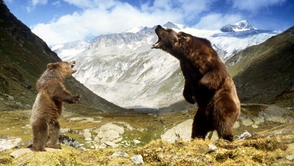 ours_2