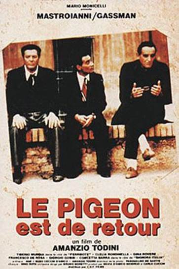 pigeon
