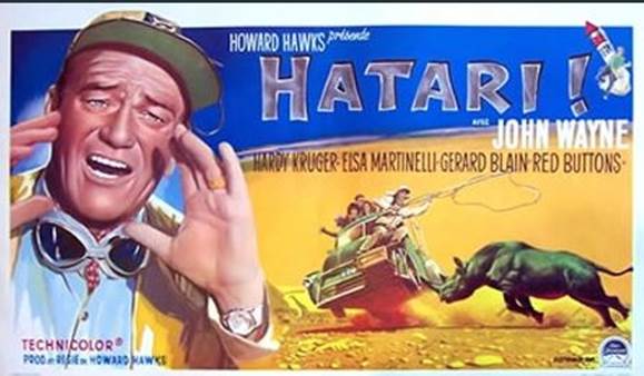 hatari