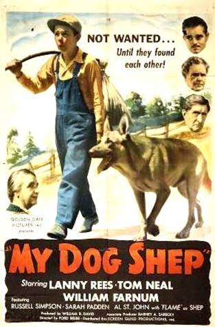 shep_dog